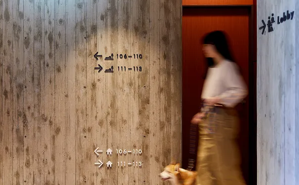 深圳vi設(shè)計(jì)作品案例展示