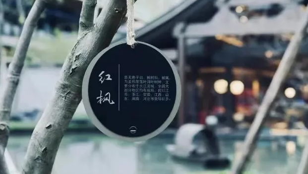 上海VI設計公司作品案例展示