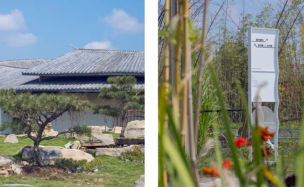 VI公司作品案例展示