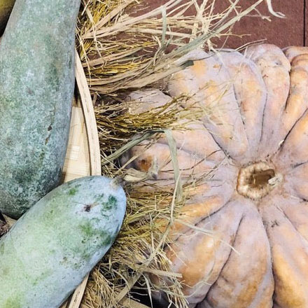 創(chuàng)意名字設(shè)計-創(chuàng)意名字vi設(shè)計