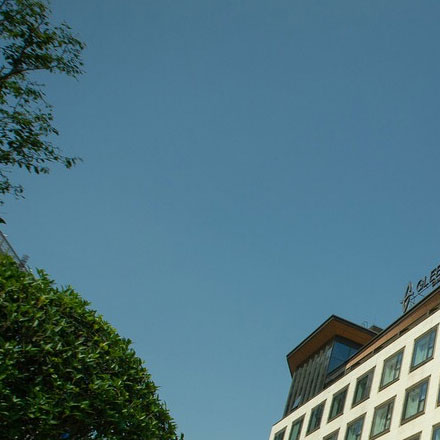 字體設(shè)計(jì) 英文-字體vi設(shè)計(jì) 英文