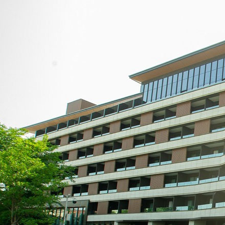 設(shè)計(jì)流程圖-vi設(shè)計(jì)流程圖