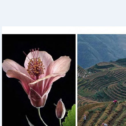 深圳品牌設(shè)計作品案例展示